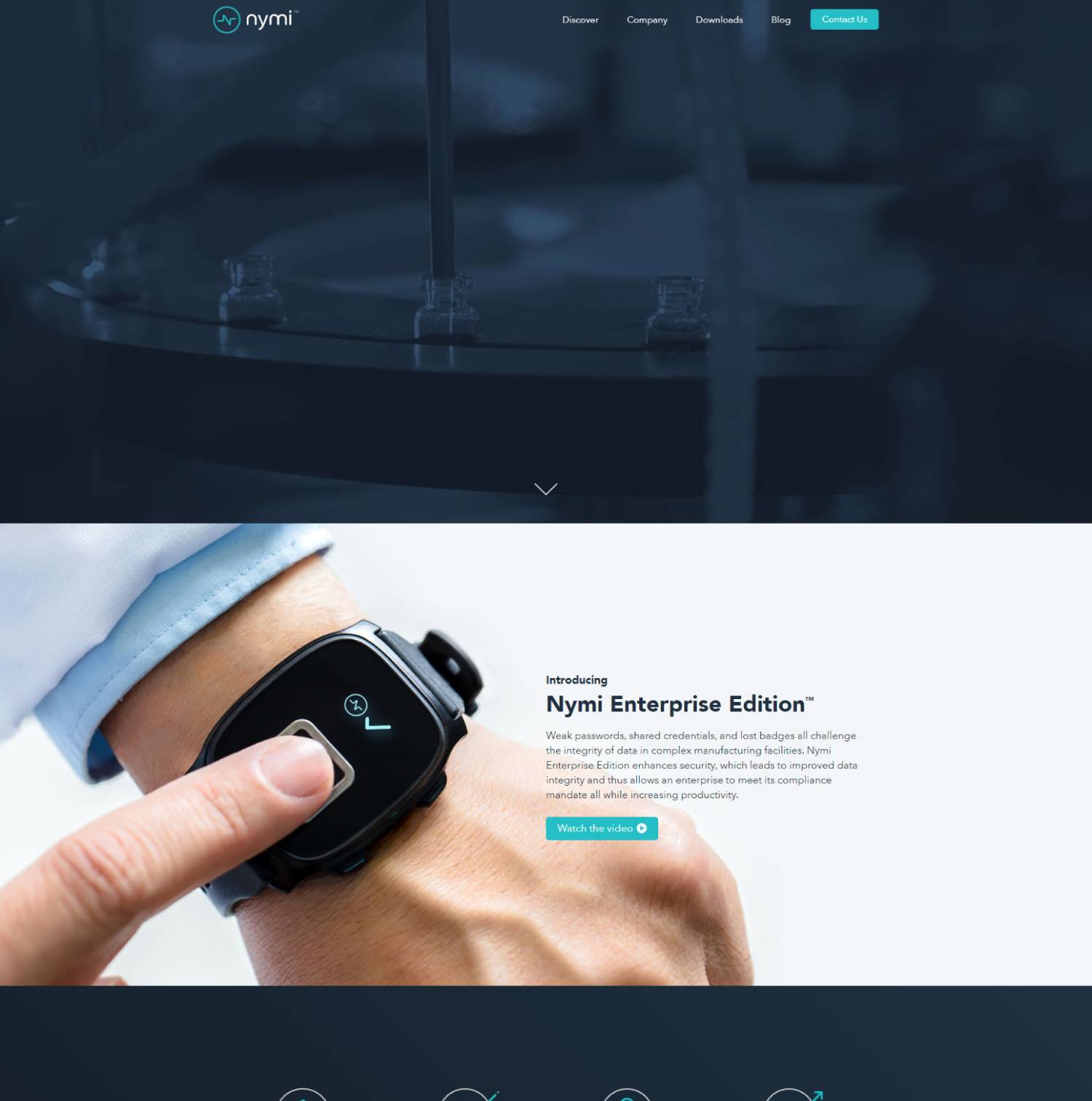 Previous Information Technology Website Design Example